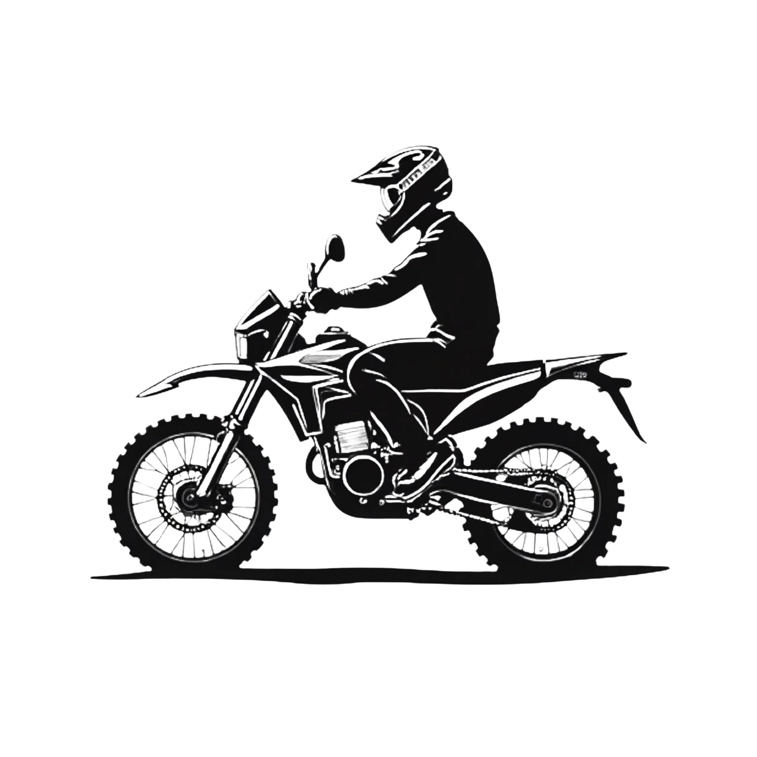 READING PA. BIKELIFE LOGO