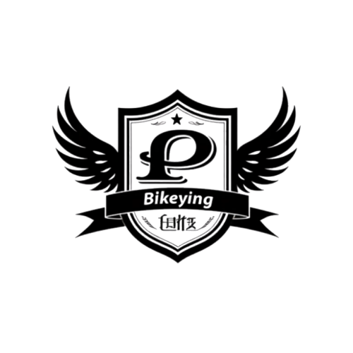 READING PA BIKELIFE logo