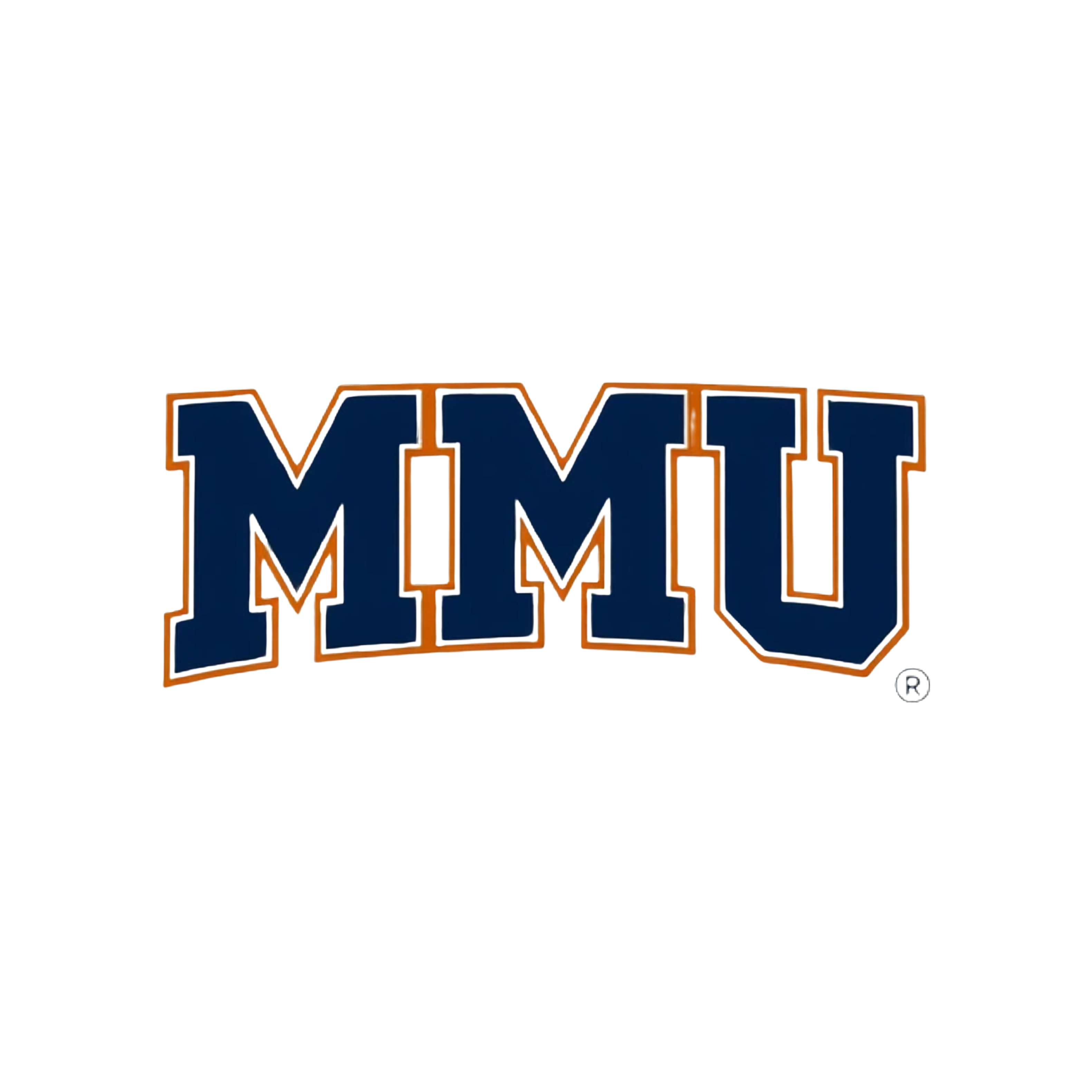 MMU 
Money Makers University Like est 1995 MMU big letters Plenty different concepts Have like team colors can we do more of a design instead of a mockup