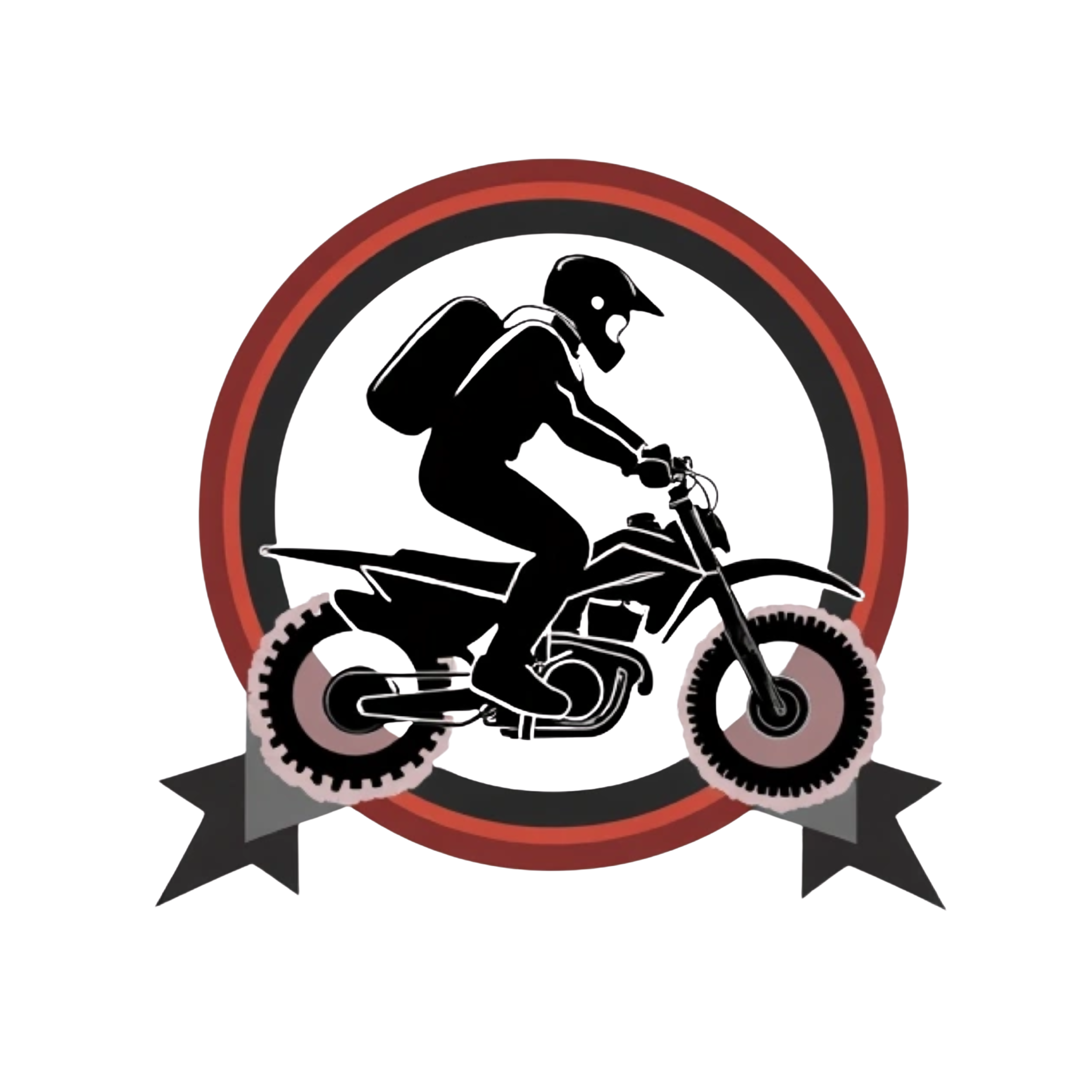 READING PA. BIKELIFE LOGO