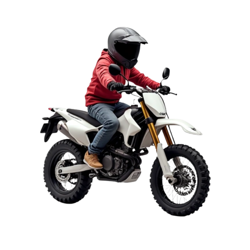READING PA BIKELIFE
